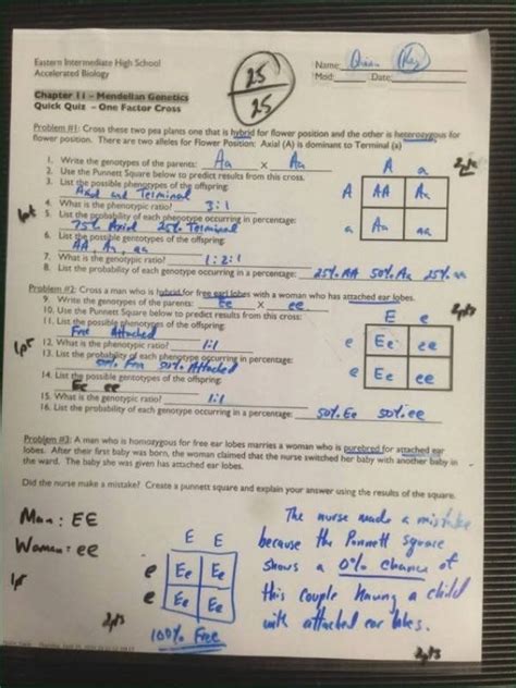 Ap Bio Chapter 14 Genetics Problems Answers Doc