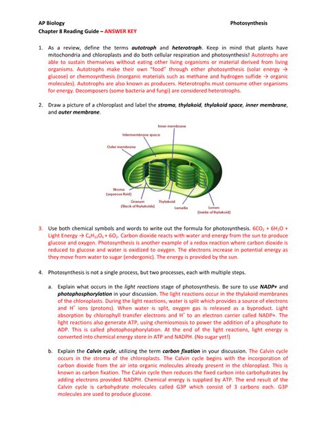 Ap Bio Chapter 8 Study Guide Answers Reader