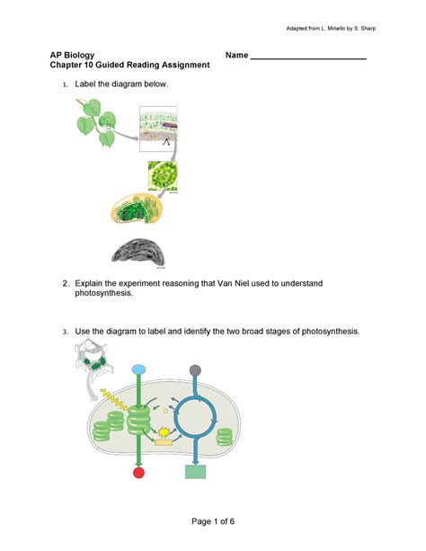 Ap Biology Chapter 10 Guided Reading Answers Reader