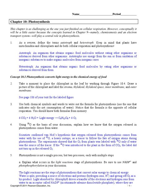 Ap Biology Chapter 10 Photosynthesis Study Guide Answers PDF