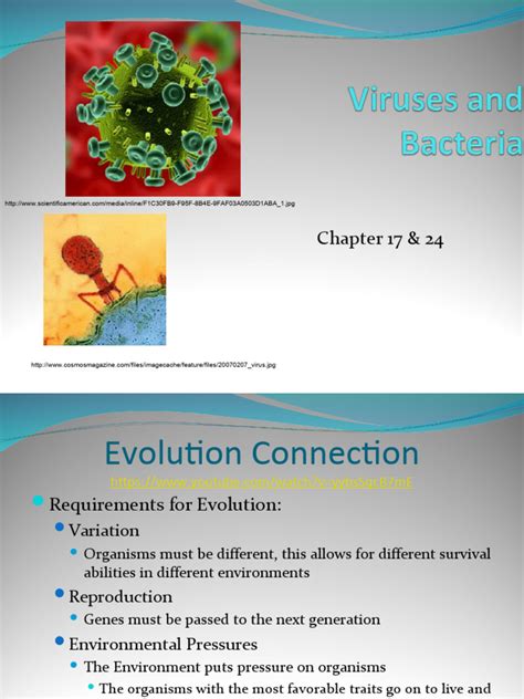 Ap Biology Chapter 17 Packet Answers Pdf . Doc