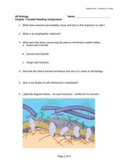 Ap Biology Guided Reading Answers Chapter 17 Reader