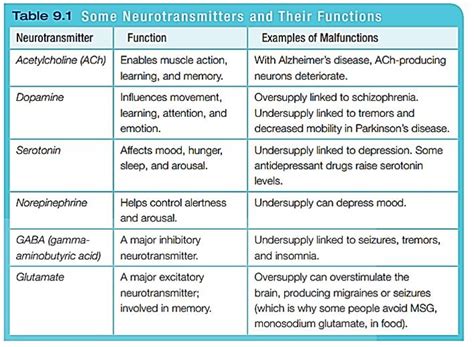 Ap Psychology Neurotransmitters Chart