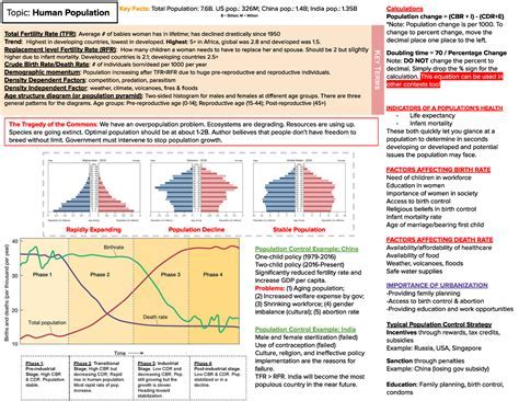 Apes Unit 1 Review: Unlocking the Secrets of Our Primate Ancestry