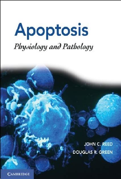 Apoptosis 1st Edition Epub
