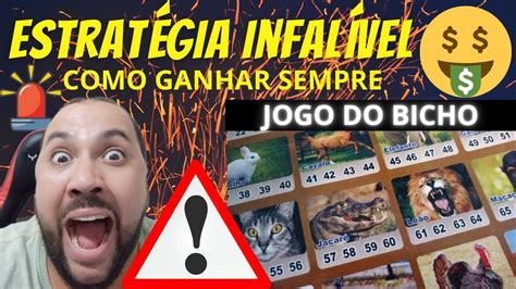 Aposta 6655: Um Guia Completo para Apostar e Ganhar no Jogo do Bicho