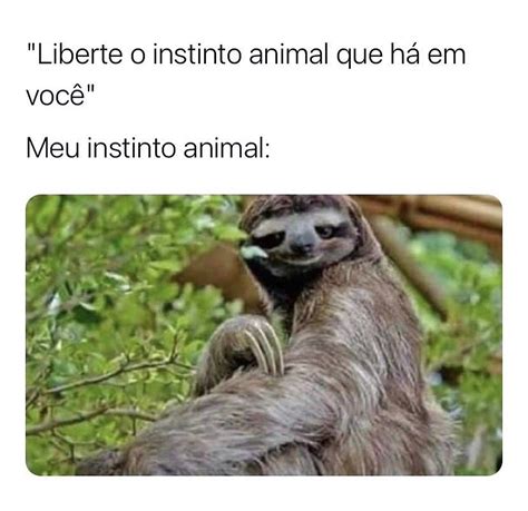 Aposta Fúria: Liberte o Animal que Há em Você