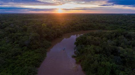 Aposta Pantanal: Um Guia Completo para Apostar no Pantanal