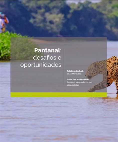 Aposta Pantanal 360: Oportunidades e Desafios