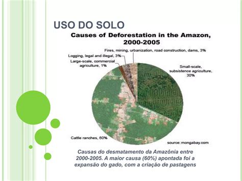 Aposta Pantanal 8: Leilão de Carbono e Mudanças Climáticas