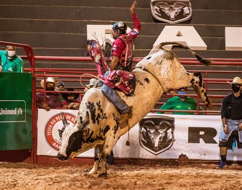 Aposta de Rodeio: Um guia completo para lucrar com o esporte mais emocionante do Brasil