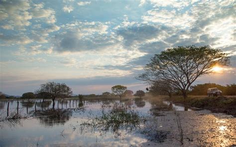 Aposta do Pantanal 2023: Oportunidades e Desafios para o Ecoturismo