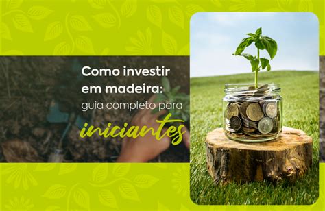 Aposta em Rosewood: Um Guia para Investir nesta Madeira Valorizada