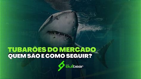 Aposta em Tubarões: Um Mercado Em Alta