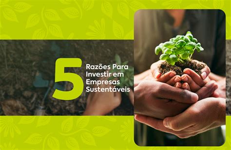 Aposte nos Verdes: O Guia Completo para Investir em Empresas Sustentáveis