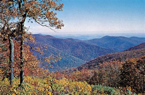 Appalachian State Tours: Immerse Yourself in the Heart of the Blue Ridge Mountains