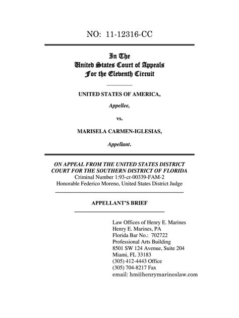 Appellate Brief Template