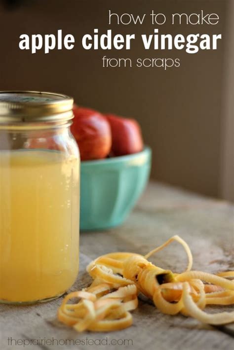 Apple Cider Vinegar Recipes Homemade Remedies for Health and Beauty plus Recipes for Breakfast Lunch Dinner Dessert and Smoothies Quick and Easy Series Reader