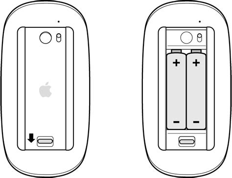 Apple Mouse AA Batteries: Voltage, Runtime, and Replacement Guide