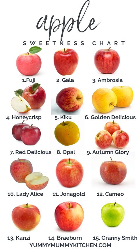 Apple Types Chart