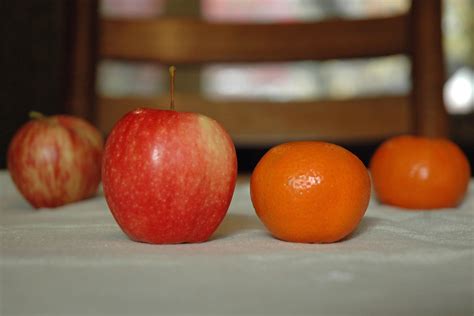 Apples and Oranges Can two opposites make great recipes together The This and That Series Volume 2 Doc