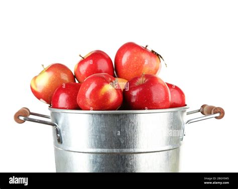 Apples in a Pail Reader