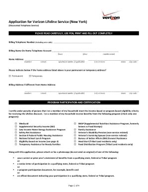 Application for Verizon LifeLine Service PDF Kindle Editon