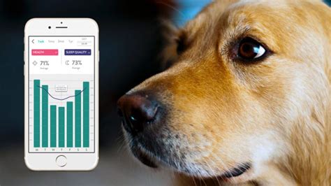 Applications Beyond Pet Monitoring