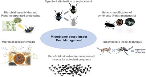 Applications of Insect Biology in Sustainable Development