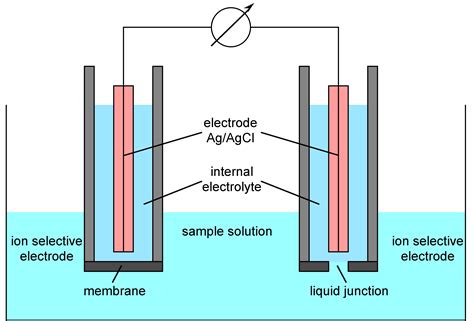 Applications of ion-selective membrane electrodes in organic analysis Kindle Editon