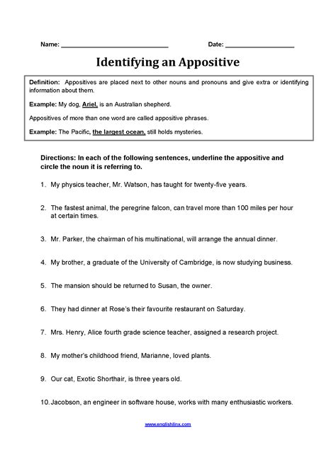 Appositive Phrase Practice 3 Answers Epub