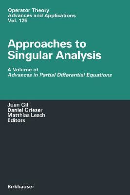 Approaches to Singular Analysis A Volume of Advances in Partial Differential Equations PDF