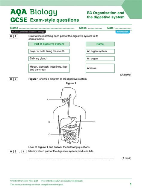 Aqa Biology Exam Style Questions Answers Gcse Doc