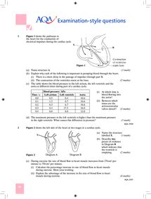 Aqa Exam Style Questions Answers Biology Unit 5 PDF