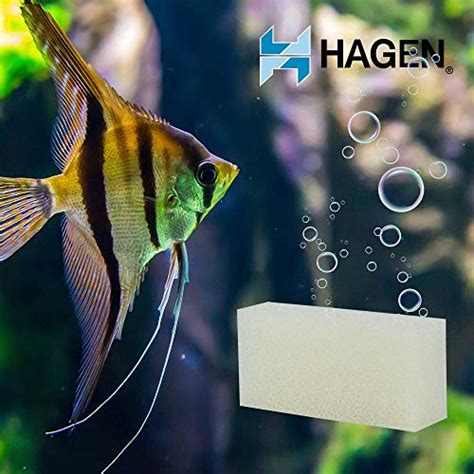 AquaClear: Revolutionizing Aquarium Filtration for Crystal-Clear Waters