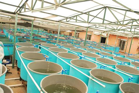 Aquaculture Production Systems Reader