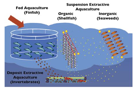 Aquaculture Production Systems Doc