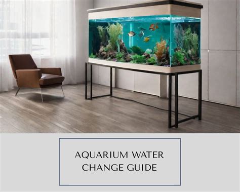 AquariaFantasy: A Comprehensive Guide to Creating and Maintaining a Thriving Aquarium