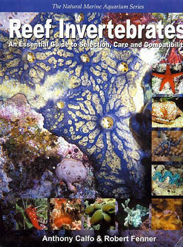 Aquarium Invertebrate Selection and Care: A 2025 Guide