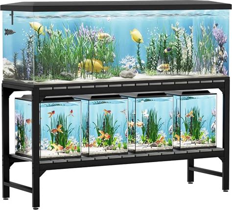 Aquarium Lighting Innovation: 2025 and Beyond