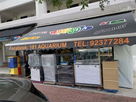 Aquarium Shop in Ang Mo Kio: Your Guide to 5,000+ Aquatic Delights