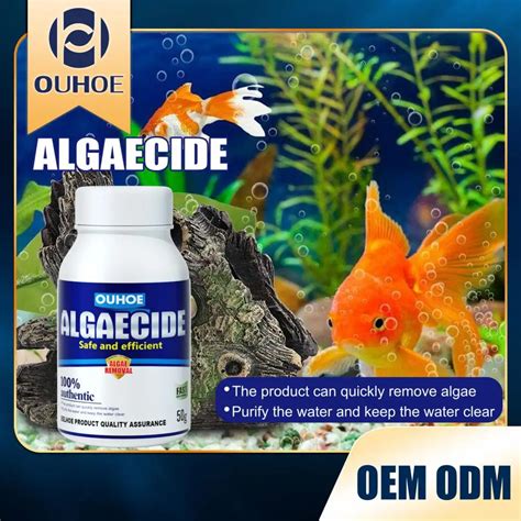 Aquarium algae control and prevention reviews