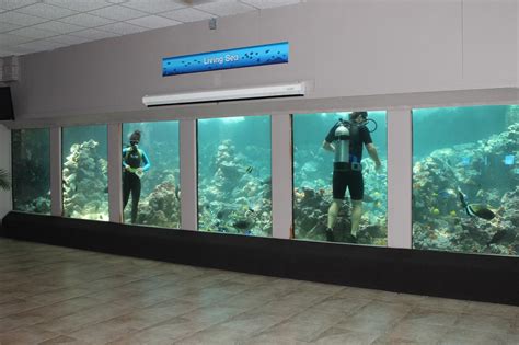 Aquariums in Pensacola, Florida: An Underwater Odyssey