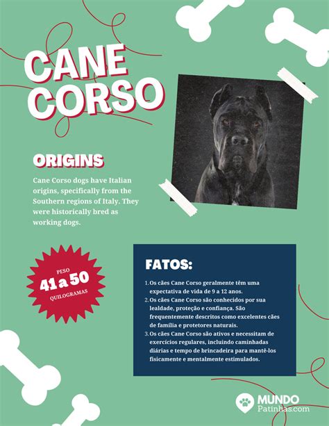 Aqui está um guia abrangente para ajudá-lo a criar um filhote de Cane Corso saudável, bem ajustado e feliz.