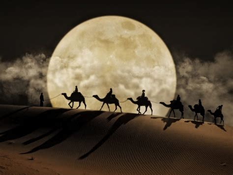 Arabian Night&am Doc