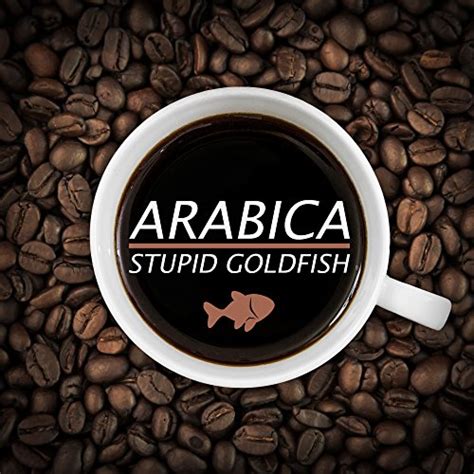 Arabica Stupid Goldfish: Uncanny Music with a Cult Following