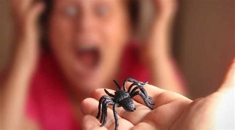 Arachnophobia is More Than Just a Fear