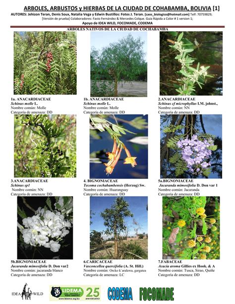 Arboles y arbustos cultivados en la ciudad de - FCF UNSE ... PDF Book Epub