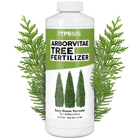 Arborvitae Fertilizer: The Complete Guide to Feeding Your Trees for Optimal Health