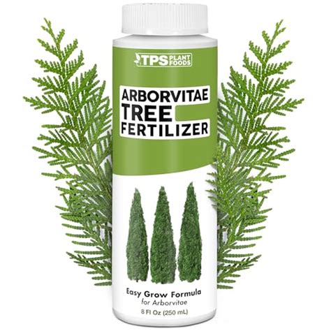 Arborvitae Tree Fertilizer: The Essential Guide to Feeding Your Evergreens